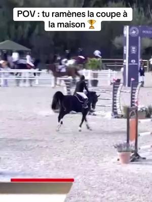 A post by @thierry.rozier on TikTok caption: 🏆GORILLE CHAMPION🏆 Gorille gagne son épreuve dans le CSI* devant 73 partants 🚀 2 podiums en 2 parcours 🏆🙏🏻 #thierryrozier #horse #foryou #foryourpage #chevaltiktok #equestrian #fyp #cheval #chevalpassion #jumping #jumping 