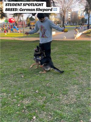 A post by @stsk9 on TikTok caption: Awesome student from Argentina 🇦🇷 showing that going in public and having fun with your dog is not only possible but really what having a dog is all about!  If you rather see this than slave dogs being forced to stay with you give this post a like 👍 and comment  Well done @k9_moana