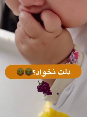 A post by @nilofararab_ on TikTok caption: #viralvideo #foryou #tiktok #bebe #foryoupage #👶🏻❤️ 