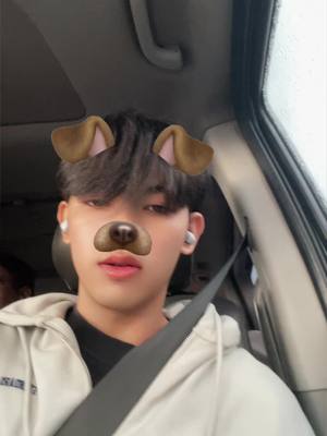 A post by @pi....................pi on TikTok caption: Kon dog 🙇🏻#foryou #fyp 