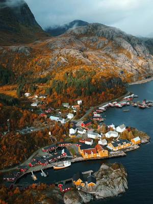 A post by @lotterlive on TikTok caption: Nusfjord during autumn 🍁 #lofoten #lofotenislands #lofotenhighlights #norway #norwaynature #visitnorway #norwegen #landschaftsfotografie #norway🇳🇴 #reisefotografie  #reise #reisen #visitlofoten #norwegenurlaub