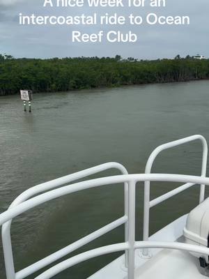 A post by @steeleimaging on TikTok caption: #cruisin 