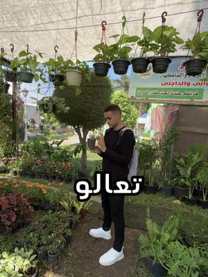 A post by @alhussin_sharabi on TikTok caption: تجربتي مع معرض الزهور  #زراعة #نباتات #اكسبلور #زراعة_المانجو #نباتات_داخليه #زهور #الشعب_الصيني_ماله_حل😂😂 #نبات_داخلي 