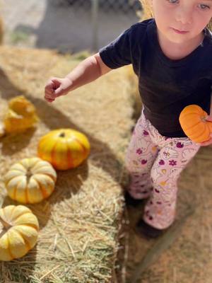 A post by @jjgav on TikTok caption: #pumpkinpatch #carnival #lasvegas #summerlin #fyp #fall #halloween 