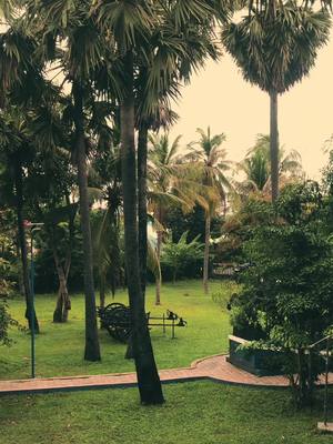 A post by @_theweirdme_ on TikTok caption: A Corner of View in my university.💚#fyp#tiktok#siemreap#buildbrightuniversity#cas#nature 