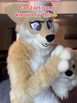 A post by @chibbytheshibainu on TikTok caption: YES IM CALLING YOU OUT 🫵👁️👁️ Also why I squished her head like that💀 #furries #fursuiter #furry #furryfandom #furrycommunity #fursuit #furrytiktok 