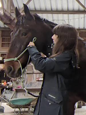 A post by @team.ginette on TikTok caption: Bientôt le retour des Vlogs sur ma chaîne youtube 🫶🏼 #iberiquehorse #horseriding #horses #pureraceespagnol #horseofinsta #instapony 