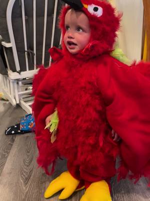 A post by @hjaco8503 on TikTok caption: Kolby want a cracker? #halloweencostume #parrot #parrotsoftiktok #costume #MomsofTikTok #momlife #bird #fyp #halloween #spookyseason 