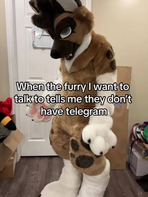 A post by @moosetheboofer on TikTok caption: Every furry has telegram you are lying #furry #furries #furrys #furryfandom #furrytrash #furrytrend #furrytiktok #furriesoftiktok #fyp #fursuit #fursuiter #fursuiting 