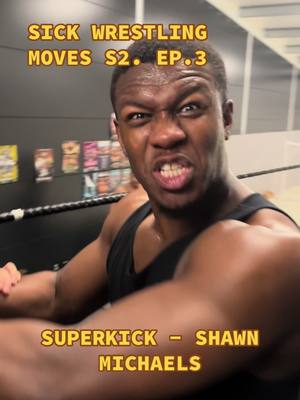 A post by @manlikedereiss on TikTok caption: SICK WRESTLING MOVES S3 EP2 SUPERKICK - SHAWN MICHAELS #manlikedereiss #sickwrestlingmoves #WWE #shawnmichaels #superkick #fight #aew #newwavewrestling 