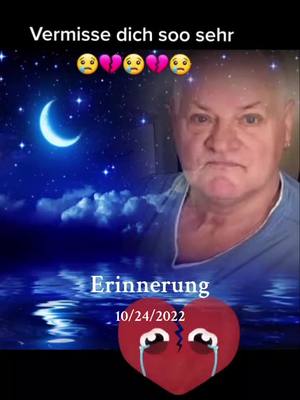 A post by @balou_leni on TikTok caption: #erinnerung 