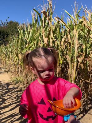 A post by @nuby on TikTok caption: Snacking in the corn maze 🥣🌽 #nubyusa #cornmaze #pumpkinpatch #fallvibes #kidssnacks 