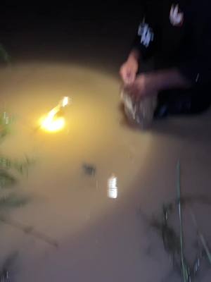 A post by @rachhinkh on TikTok caption: ដាក់បង្កៃ #fishing 