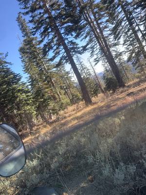 A post by @outdootmans99 on TikTok caption: #fyp#mountains#deerhunting# 