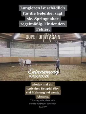 A post by @annalena.equi on TikTok caption: #erinnerung 