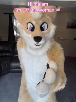 A post by @chibbytheshibainu on TikTok caption: No matter what your body shape is like, you’re valid on your chosen identity ❤️❤️❤️ #furries #fursuiter #furry #furryfandom #furrycommunity #fursuit #furrytiktok 