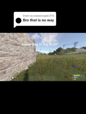 A post by @ussernamme777 on TikTok caption: Ответ пользователю @377jnew bug in Rust! #rust #раст #rustmoose 