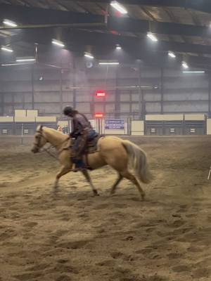 A post by @lismitchl on TikTok caption: Take the Shot!! #planb #mountedshooting #girlswithguns #cowboyshit #shootandpray 