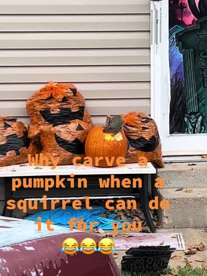 A post by @meg121687 on TikTok caption: #hahaha #halloweendecor #funnysquirrel 