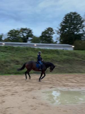 A post by @sarah2712000 on TikTok caption: Give Me petite pur-sang, un an et demi de travail 👌🏻 ##pursang##dressage##cheval##equitation##chevalpassion##horse