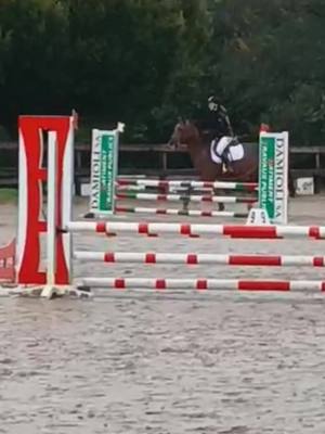 A post by @nina_et_cooper on TikTok caption: Concours de Luxeuil avec Papy et Calinka 🥰 #concours #cso #cavalier #poney #cheval 