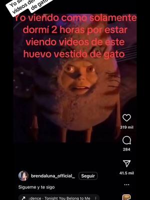 A post by @soybeb0 on TikTok caption: Yo con los videos del huevo vestido de gato #gato #huevo