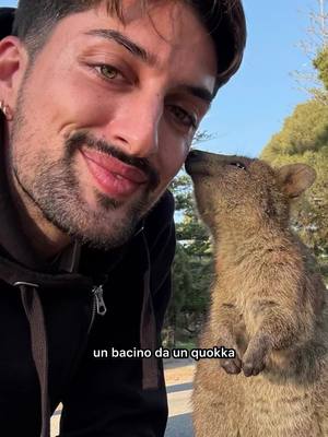 A post by @roccotnl on TikTok caption: La fauna australiana si sa che fa un po’ paura, ragni squali e serpenti vanno evitati… ma i ragazzi salmastri invece!! Loro sì che meritano di essere conosciuti 😜 e quale modo migliore se non un bel match su @Bumble ? 🐝🍯  #FaiLaPrimaMossa #adv 