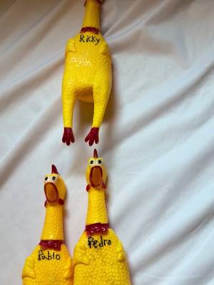 A post by @tahinamorrison on TikTok caption: When your teenager had their bedroom door shut… beware what you walk in to  👀 #comedy #humor #chicken #name #namedrop #hobby #kidsoftiktok #teen 