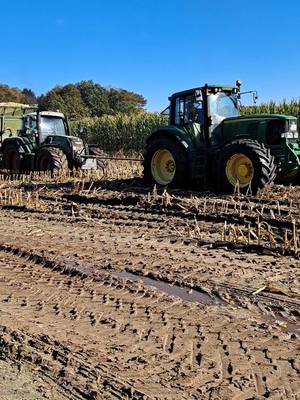 A post by @stoyke_agrar on TikTok caption: Mais 2024 #landwirtschaft #landwirt #johndeere #mais2024 #fendt #maisernte #claas 