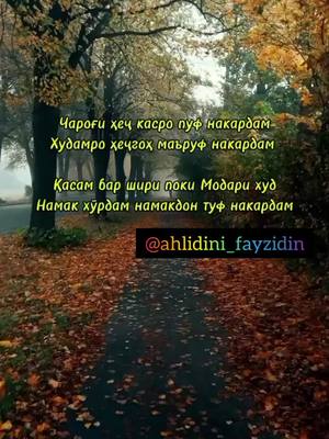 A post by @ahliddin_fayziddin on TikTok caption: Намакдон хурдам намакдон туф накардам !