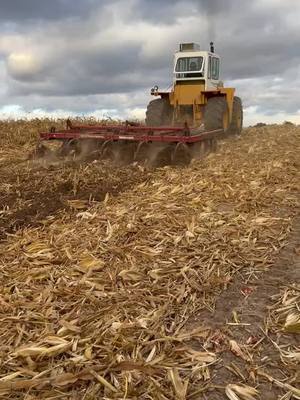 A post by @chooch_master_1466 on TikTok caption: Got the 4100 out of the back corner of thr shed a few weeks ago. Sure is fun to play with some old iron! #international #4100 #dt429 #chiselplow 