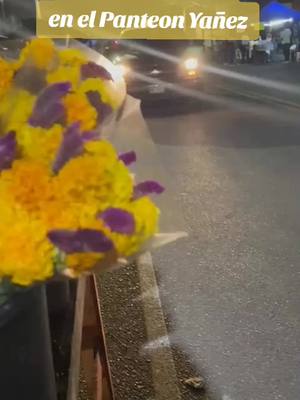 A post by @elmitoteromx on TikTok caption: La Kathya Félix se dió la vuelta al Panteón Yañez en Hermosillo para platicar con los vendedores de flores.   #ElMitotero #Hermosillo #Sonora #OrgullosamenteMitotero #DiaDeMuertos 