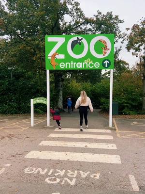 A post by @chlooebrownn on TikTok caption: Spend a day at the zoo with us #dayout #marwellzoo #soo #animals #kidsdayout #family #fun #friends #Love #zoodayout #foryou @Emma Gregory @Chloe 