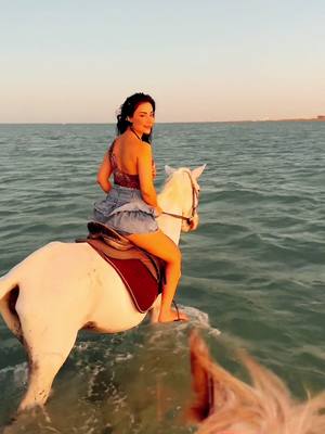 A post by @ritaaa771 on TikTok caption: #فرس #pferd #horse #horseriding 🧜🏻‍♀️🏇🤍🤎🌅#sunset