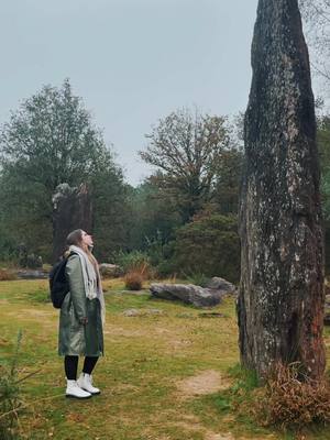 A post by @sister_eso on TikTok caption: La forêt et Brocéliande nous ouvre le chemin et nous révèlent ses secrets. #automn #automne #forest #cottagecore #witchtok #celt #celtics #occultok #samhain #broceliande 