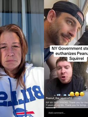 A post by @kperk19 on TikTok caption: #duet with @Barstool Sports #NYS #peanut #justiceforpeanut