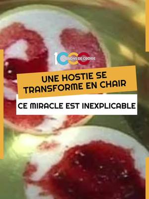 A post by @1000raisonsdecroire on TikTok caption: Quand Foi et Science semblent opposées, les miracles eucharistiques de Buenos Aires, Lanciano et Sokolka apparaissent comme des preuves tangibles et stupéfiantes de la présence réelle du Christ dans l'Eucharistie. Validés par des analyses scientifiques rigoureuses, ces miracles défient la compréhension humaine et renforcent la foi en un Dieu vivant ! #Dieu #foi #science #eucharistie #miracle #religion 