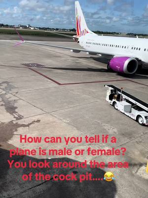 A post by @waynesworld23 on TikTok caption: #caribbeanairlines#airplanejokes #thewarmthoftheislands 