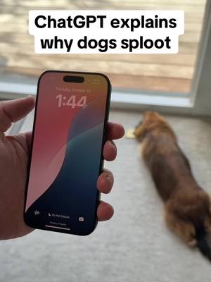 A post by @chatgpt on TikTok caption: Splooting: the ultimate flex (literally). Pro Tip: With iPhones that have the action button, you can program it to open a ChatGPT Voice conversation by going to the action button setting, choosing Shortcut, and selecting Start a Voice Conversation under ChatGPT. #chatgpt #chatgptvoice 