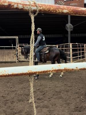 A post by @that_beemer_kid on TikTok caption: Sharpie tappin on em 👞 🐄 #4110performancehorses #judgenamedsioux 