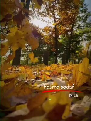 A post by @halisaa82 on TikTok caption: #halimasadaf #halimasadaf82 #live #foruyou 