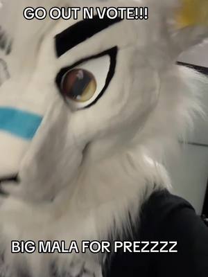 A post by @goatkinq on TikTok caption: LETS UPHOLD OUR DEMOCRACY!! #fyp #election #kamalaharris #furryfandom #furry 