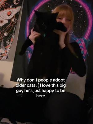 A post by @cinder_ella_27 on TikTok caption: He purred during this whole video btw #cat #blackcat #catsoftiktok #fatcat #chunk #batman #adoptdontshop 