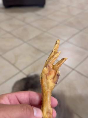 A post by @masterpetss on TikTok caption: Estos premios son tan malo como dicen!? 🧐 Las patitas de pollo deshidratadas pueden ser un excelente snack saludable para muchos perros, pero deben ofrecerse con precaución y supervisión. Si tu perro tiene antecedentes de problemas digestivos o es propenso a atragantarse, es recomendable consultar con el veterinario antes de incorporarlas a su dieta. 🐾 #premios #perros #dogs #fyp #viral 