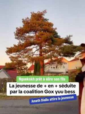 A post by @lafriquelibre on TikTok caption: #AmethDIALLO #coalitiongoxyubees #Jayaantenguirsenegaal #nguekokh #alioucissé #ousmanesonko #bassiroudiomayefaye #pasteef #assembleenationalesenegal #Mbour #senegal221 