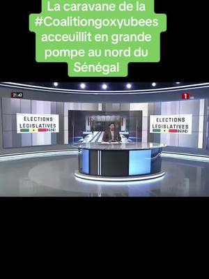 A post by @lafriquelibre on TikTok caption: #AmethDIALLO #coalitiongoxyubees #Jayaantenguirsenegaal #nguekokh #matam #kanel #ranérou #podor #fouta #alioucissé #ousmanesonko #bassiroudiomayefaye #pasteef 