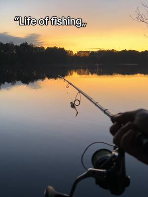 A post by @rico_fishing on TikTok caption: #life #of #fishing #beautiful #angeln #nature #Love 