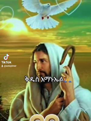 A post by @astayimer on TikTok caption: ኦርቶዶክስ ተዋህዶ ለዘላለም ፀንታ ትኑር።