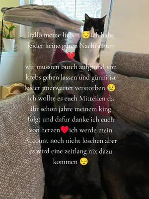 A post by @butch_black_dog on TikTok caption: ihr könnt ihn gerne reißen lassen aber müsst nicht.ich danke euch von Herzen das ihr uns so treu gewesen seid ❤️#butchmyking #fy #fyp #fypシ゚ 