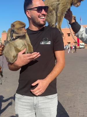 A post by @marinelhotca on TikTok caption: 3 maimute intr-un video😂😂🔥#foryou #faimosii❤️ #marinel #viral #Love #fyp #maroc #morocco🇲🇦 #marrakech #monkey 